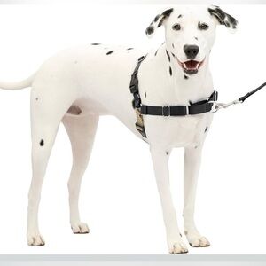 Dog Harness
